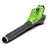 Greenworks 2400807AU G-MAX 40V Lithium-Ion Cordless Garden Power Leaf Axial Blower G40AB – Tool Only -Tools Discounts 2400807AU 1