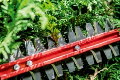 Metabo HS 18 LTX BL 55 18V Lithium-Ion Cordless Hedge Trimmer Tool Only 601722850 -Tools Discounts 601722850 11