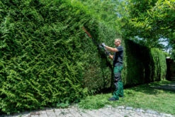 Metabo HS 18 LTX BL 55 18V Lithium-Ion Cordless Hedge Trimmer Tool Only 601722850 -Tools Discounts 601722850 5