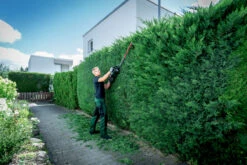 Metabo HS 18 LTX BL 75 18V Lithium-Ion Cordless Hedge Trimmer Tool Only 601724850 -Tools Discounts 601724850 10