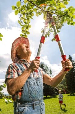 Wolf-Garten Wolf Garten RR 900 T Power Cut Bypass Telescopic Lopper Premium Plus – Made In Germany 73CGA008650 -Tools Discounts 73CGA008650 5