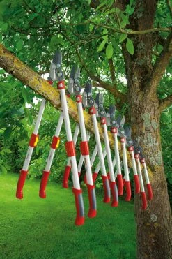 Wolf-Garten Wolf Garten RR 900 T Power Cut Bypass Telescopic Lopper Premium Plus – Made In Germany 73CGA008650 -Tools Discounts 73CGA008650 6