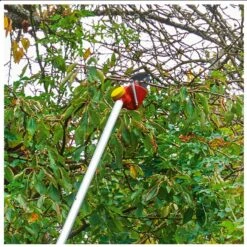 Wolf-Garten Wolf Garten RR 200 Power Dual Cut Tree Lopper 32mm – Made In Germany 73BCA001650 -Tools Discounts RR 200 4